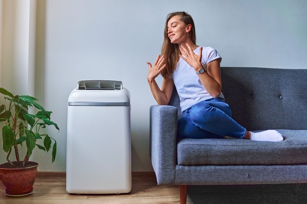 Aer conditionat portabil in casa